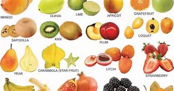 10 Nama Latin Buah